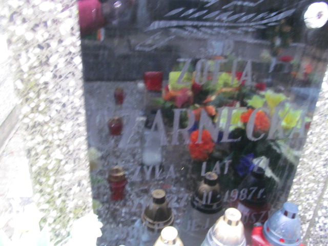 Aleksander Czarnecki 1898 Pilawa - Grobonet - Wyszukiwarka osób pochowanych